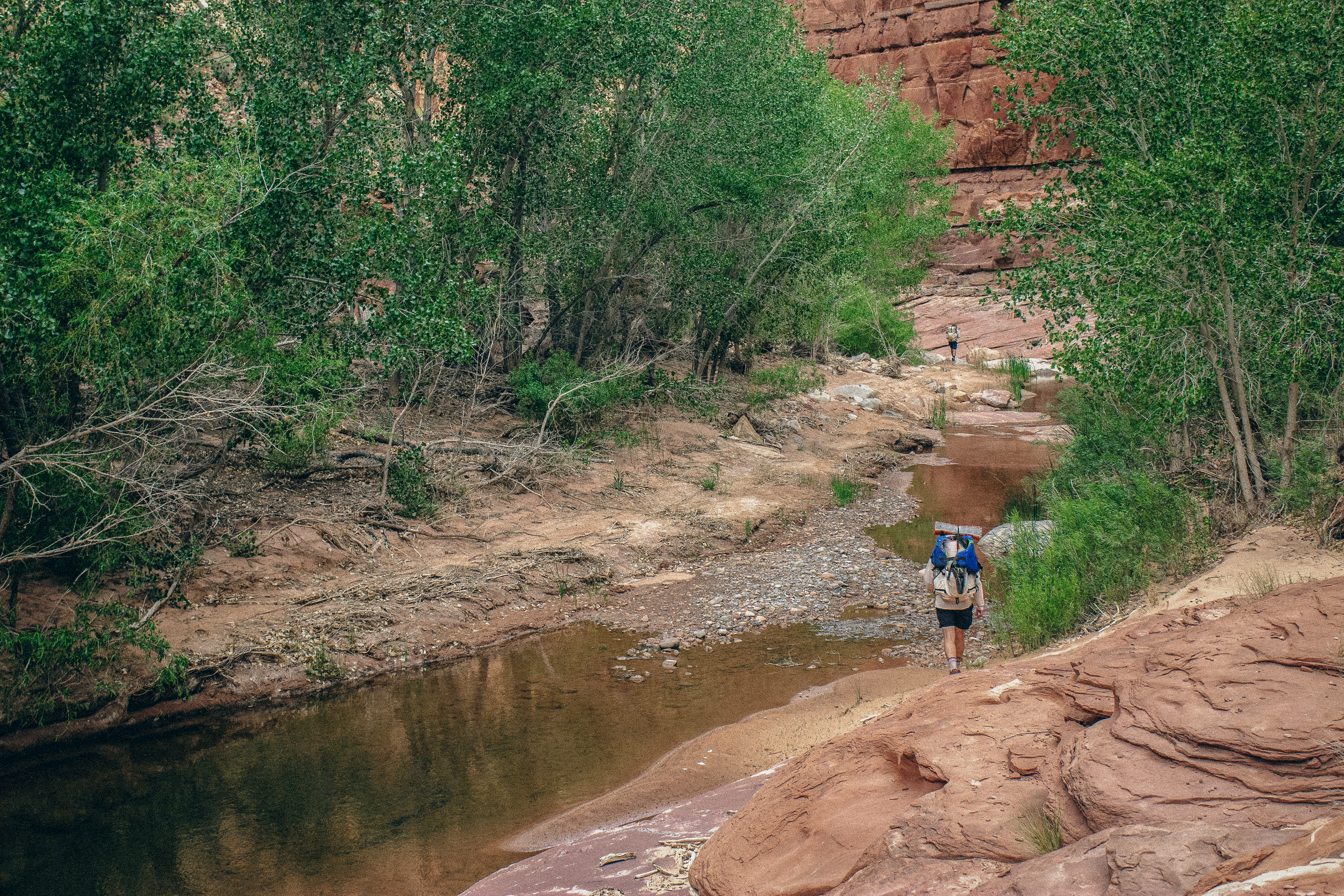 Hikers going down canyon